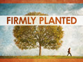 Firmly Planted