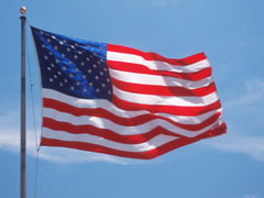 U.S. Flag