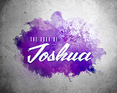 Joshua Paint