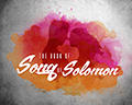 Song of Solomon Paint