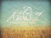 Church Banner of Fields of Grace