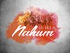 Church Banner of Nahum Paint