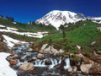 Church Banner of Spring Thaw