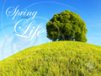 Church Banner of Spring into Life